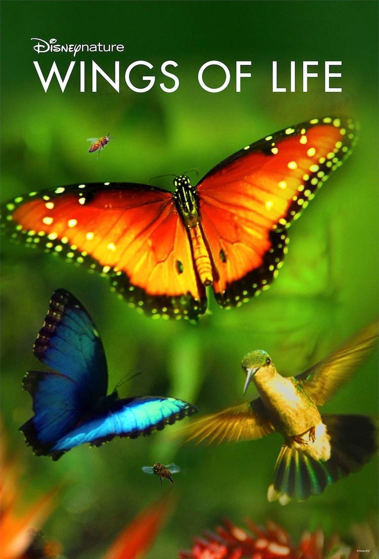 Постер Wings of Life